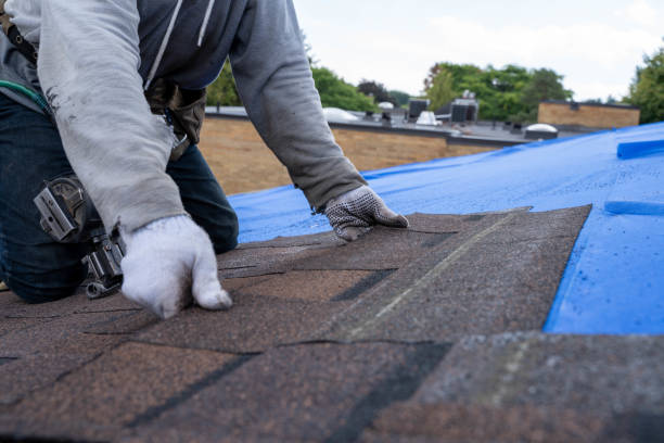 Roof Gutter Cleaning in Monongah, WV