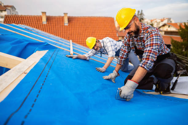 Best Roof Gutter Cleaning  in Monongah, WV